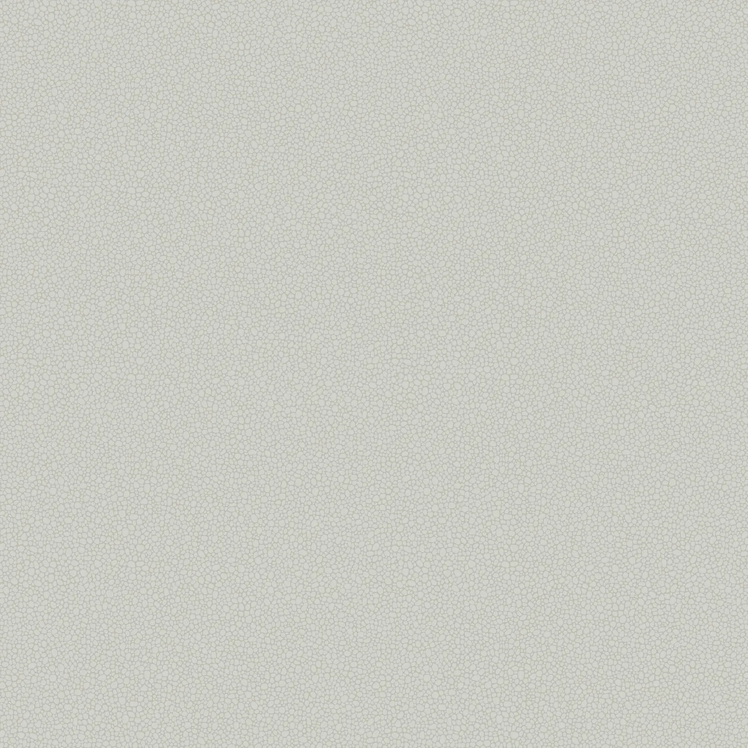 Cole&Son Pebble Sample Tapetenmuster