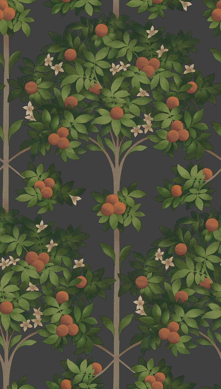 Cole&Son Orange Blossom Muster Tapete Orangenmotiv