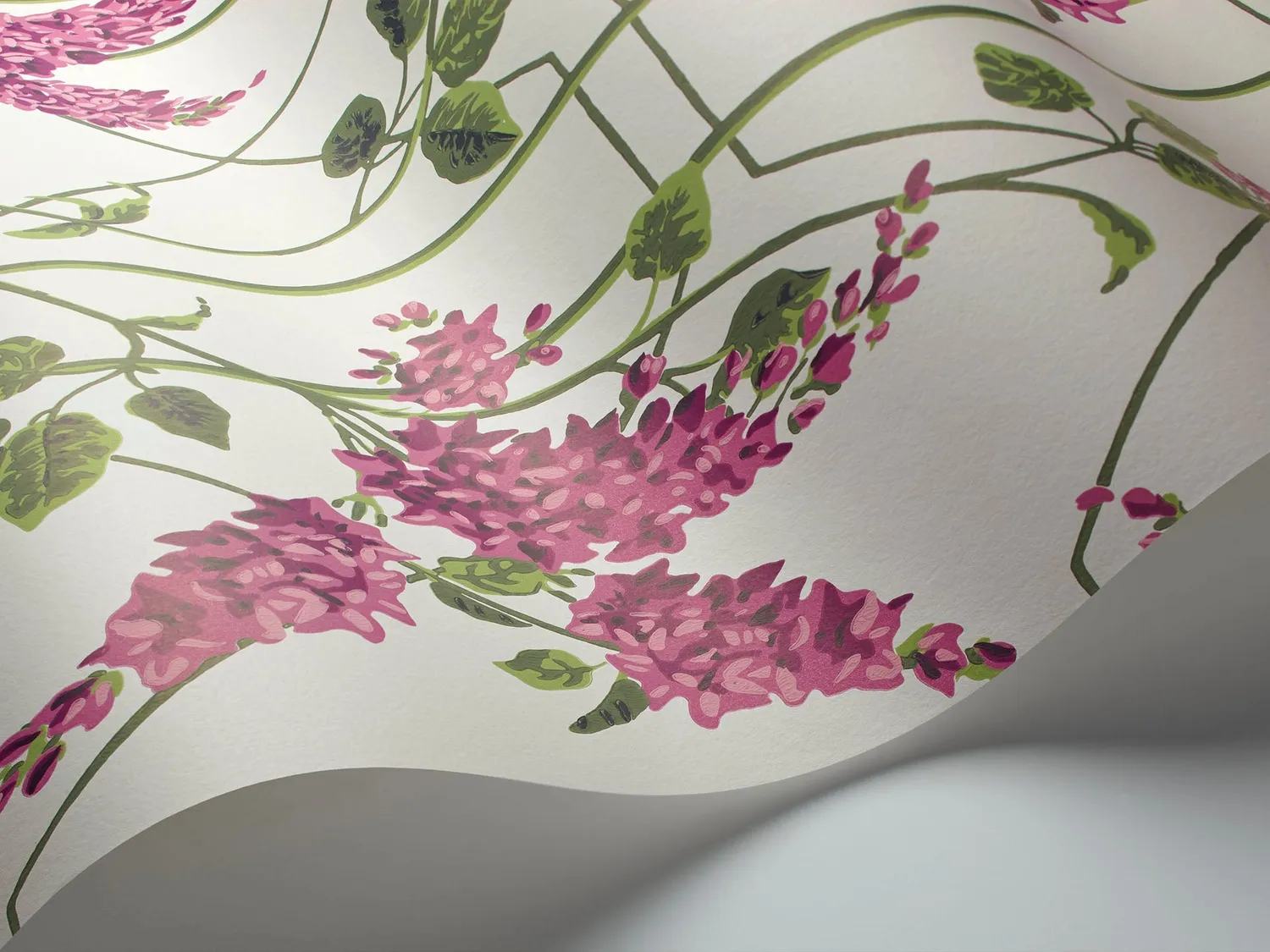 Cole & Son Wisteria Tapete Muster Ranken