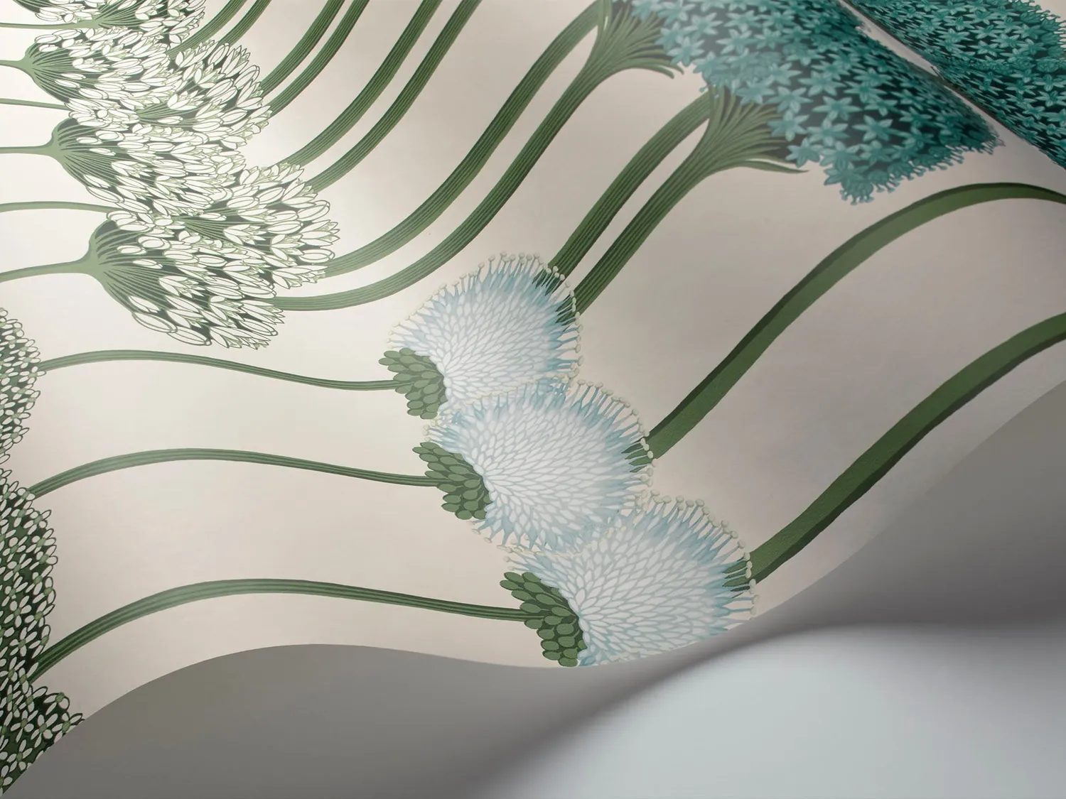 Cole & Son Allium Tapetenmuster Blumenranke