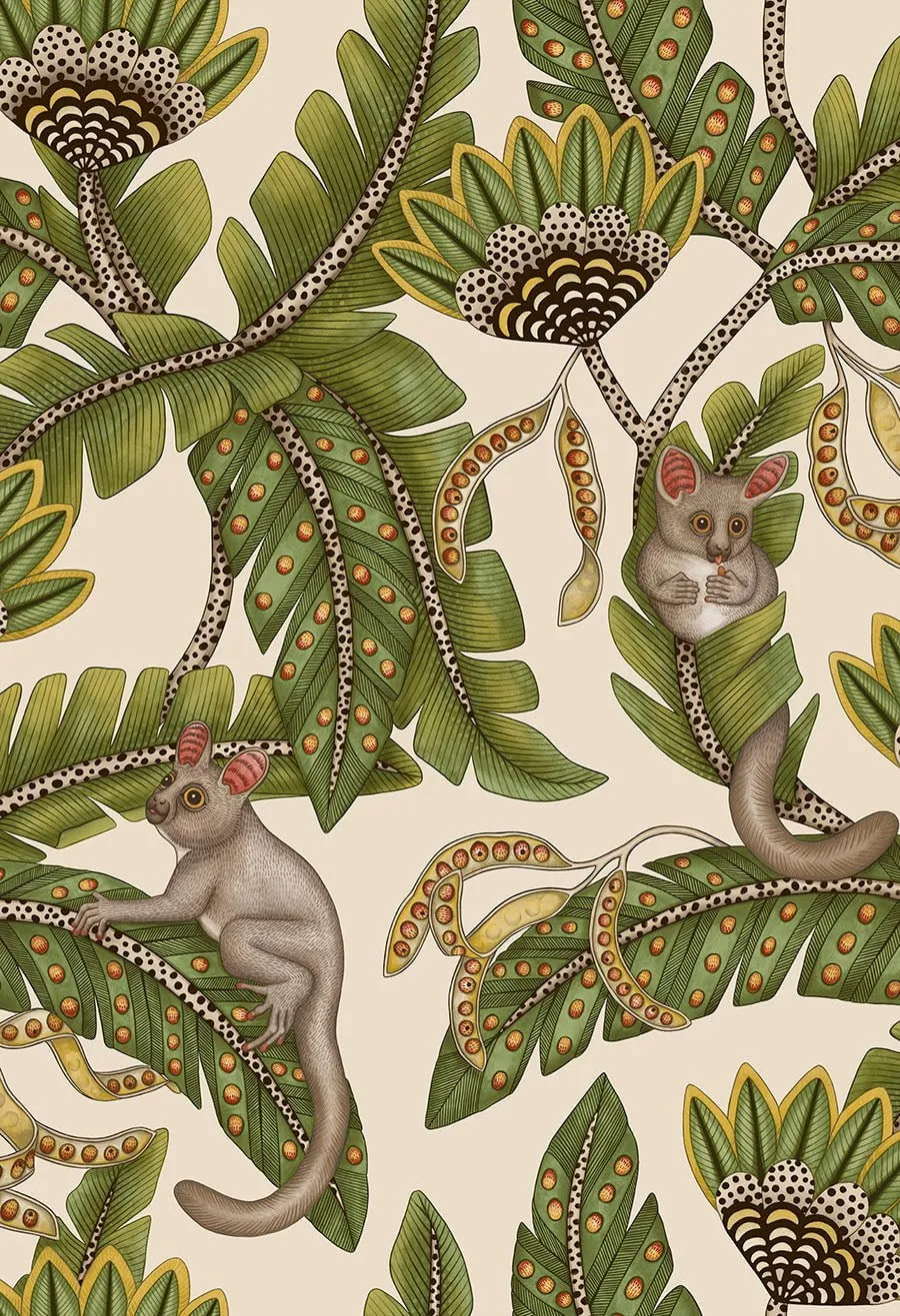 Cole & Son Bush Baby Tapetenmuster Tiermotiv