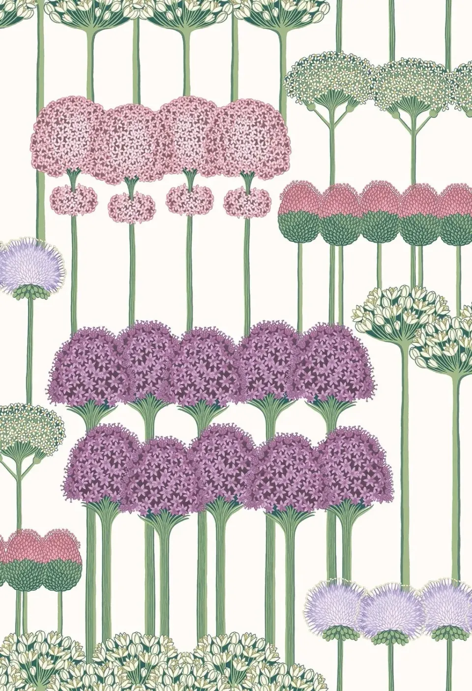 Cole & Son Allium Tapetenmuster Blumenranke