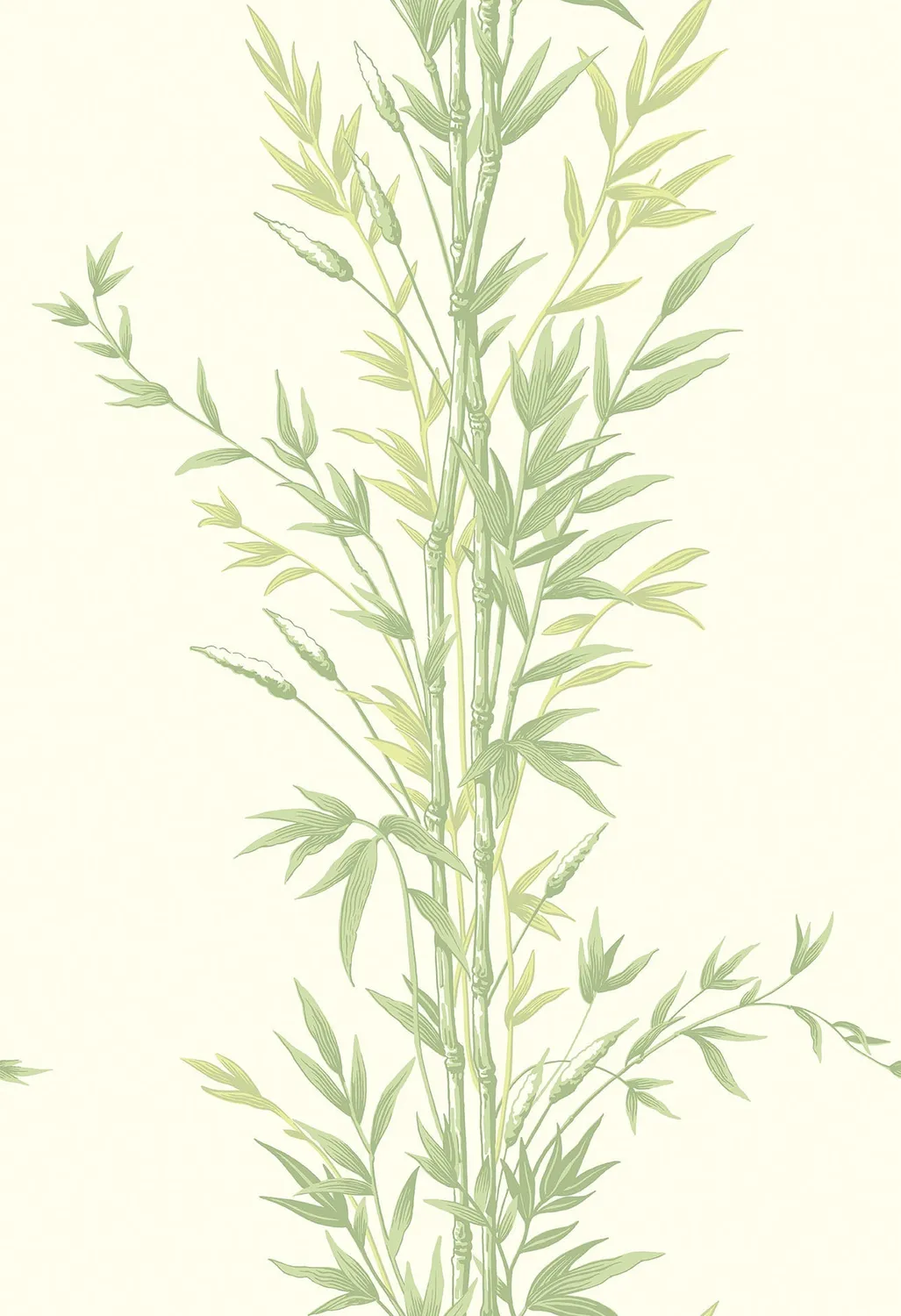 Cole & Son Bamboo Tapete Bambusmotiv elegant