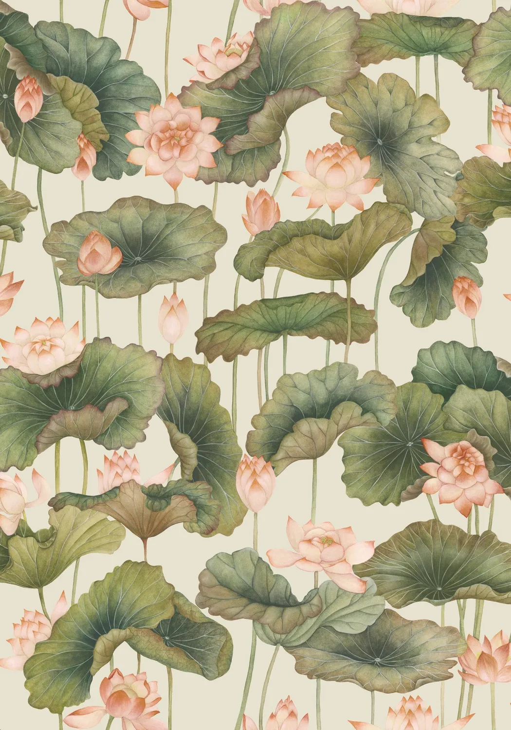 Cole & Son Lily Lotus Tapetenmuster floral