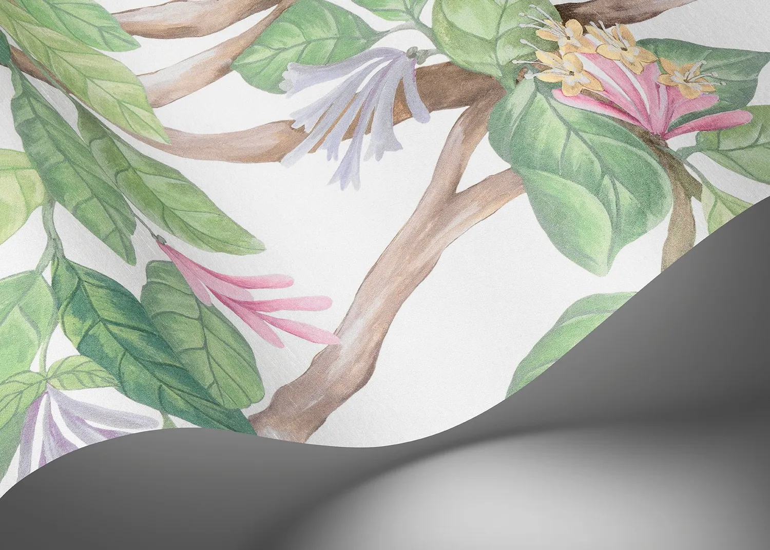 Cole & Son Hummingbirds Flora Tapete Kolibris