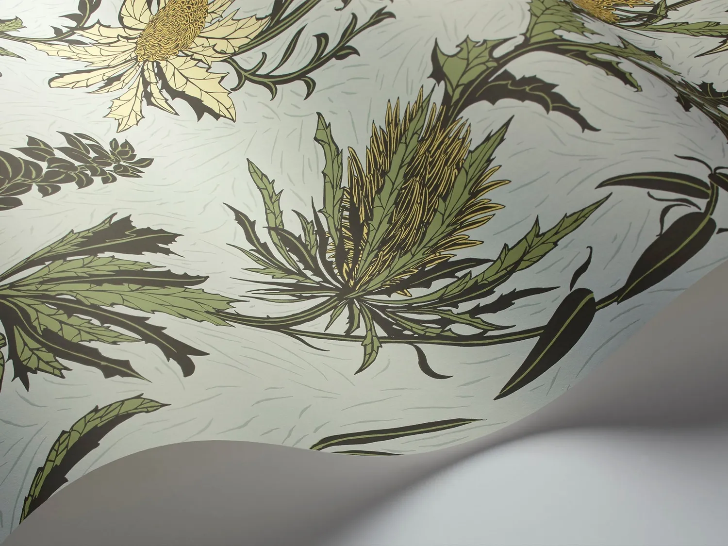 Cole & Son Thistle Tapete Blütenranke