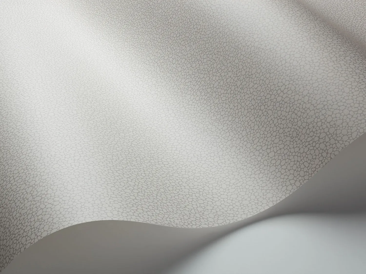 Cole&Son Pebble Sample Tapetenmuster