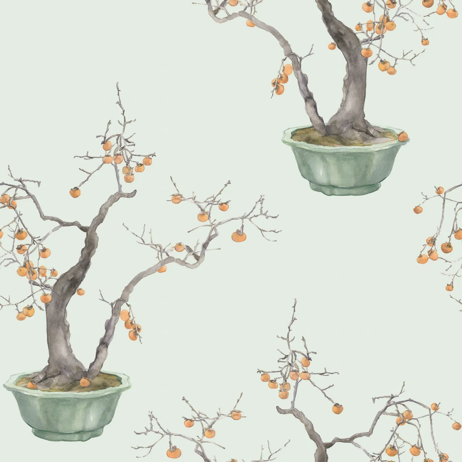 Cole&Son Kaki Persimmon Tapetenmuster Fruchtbaum