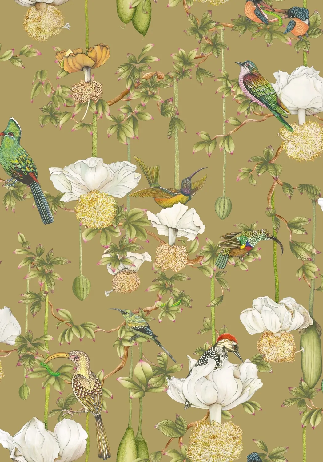 Cole&Son Baobab Botanica Tapete Tier Pflanzenmotiv