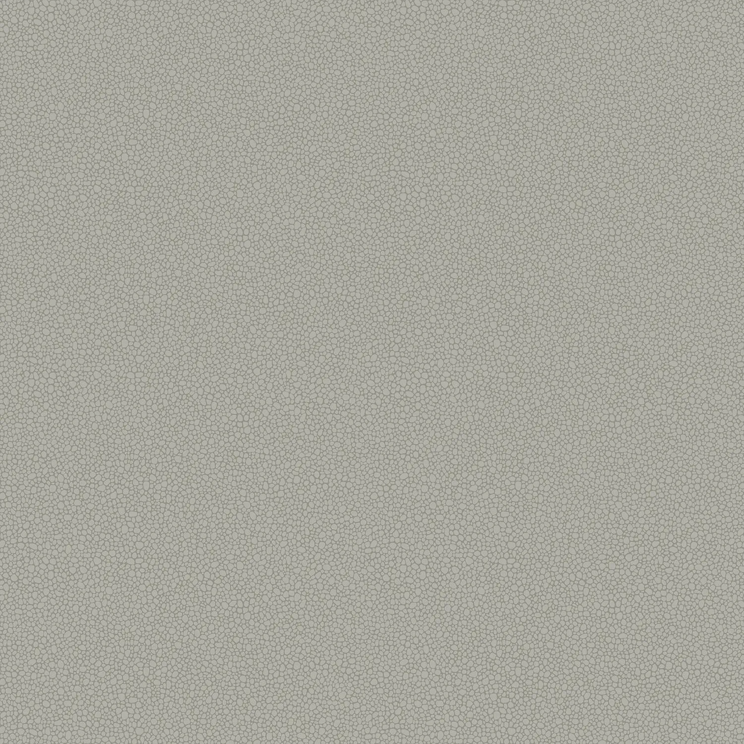 Cole&Son Pebble Sample Tapetenmuster