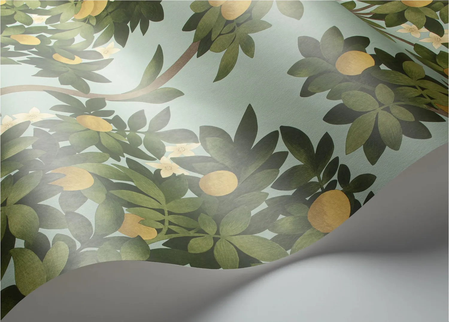 Cole&Son Orange Blossom Muster Tapete Orangenmotiv