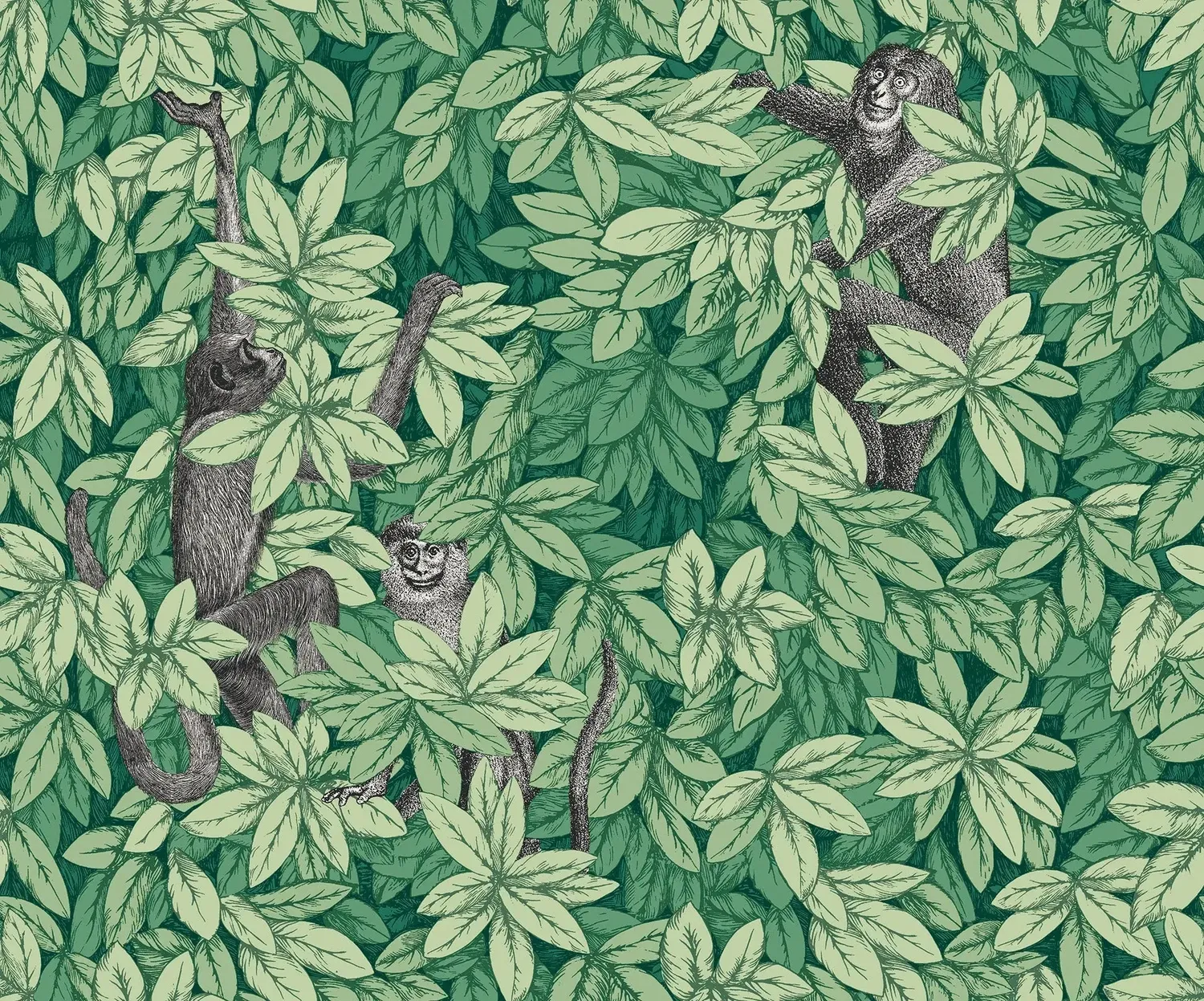Cole & Son Foglie e Scimmie Tapete Affenmotiv