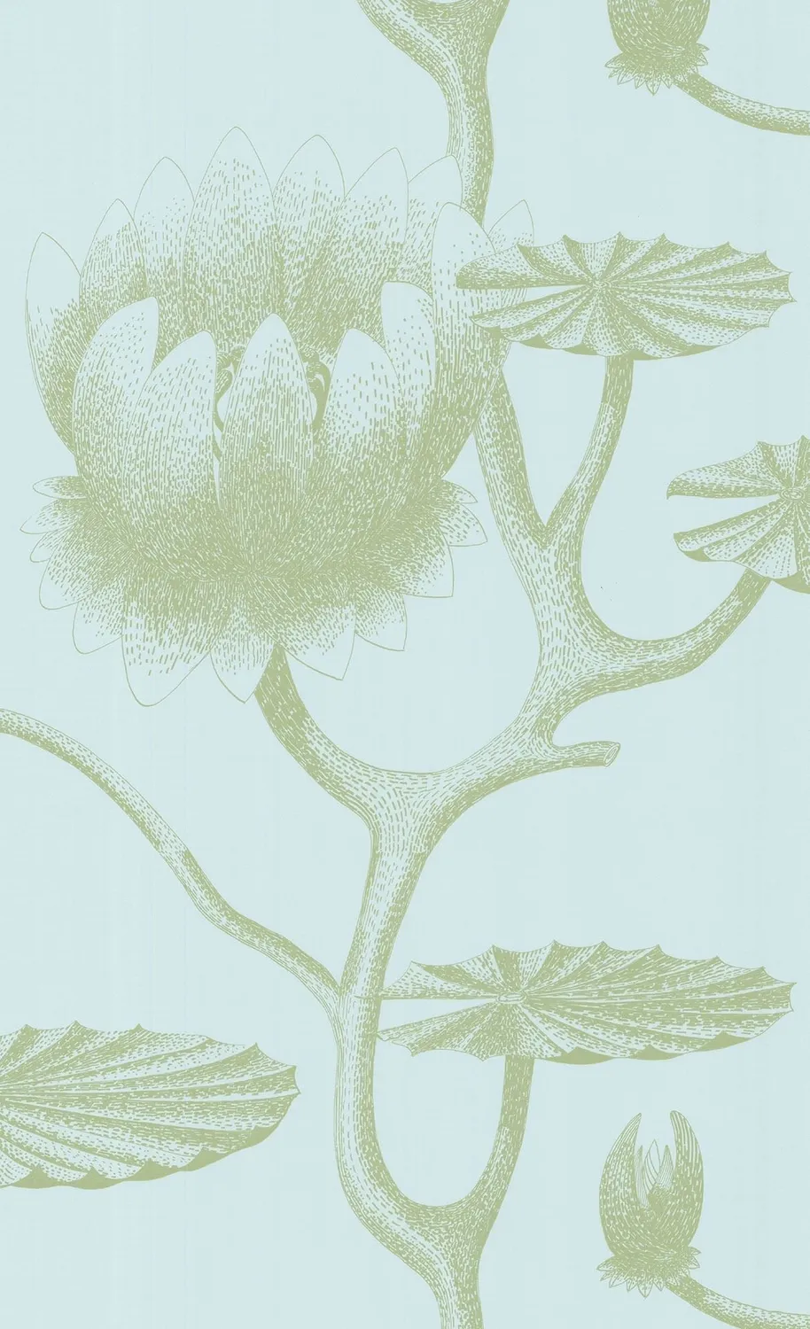 Cole & Son Lily Tapetenmuster Seerosen