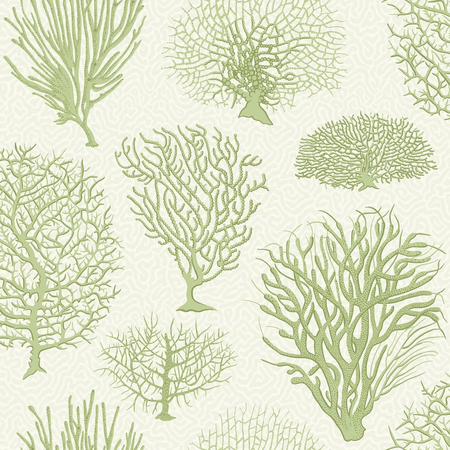 Cole & Son Seafern Tapete botanisch Korallen