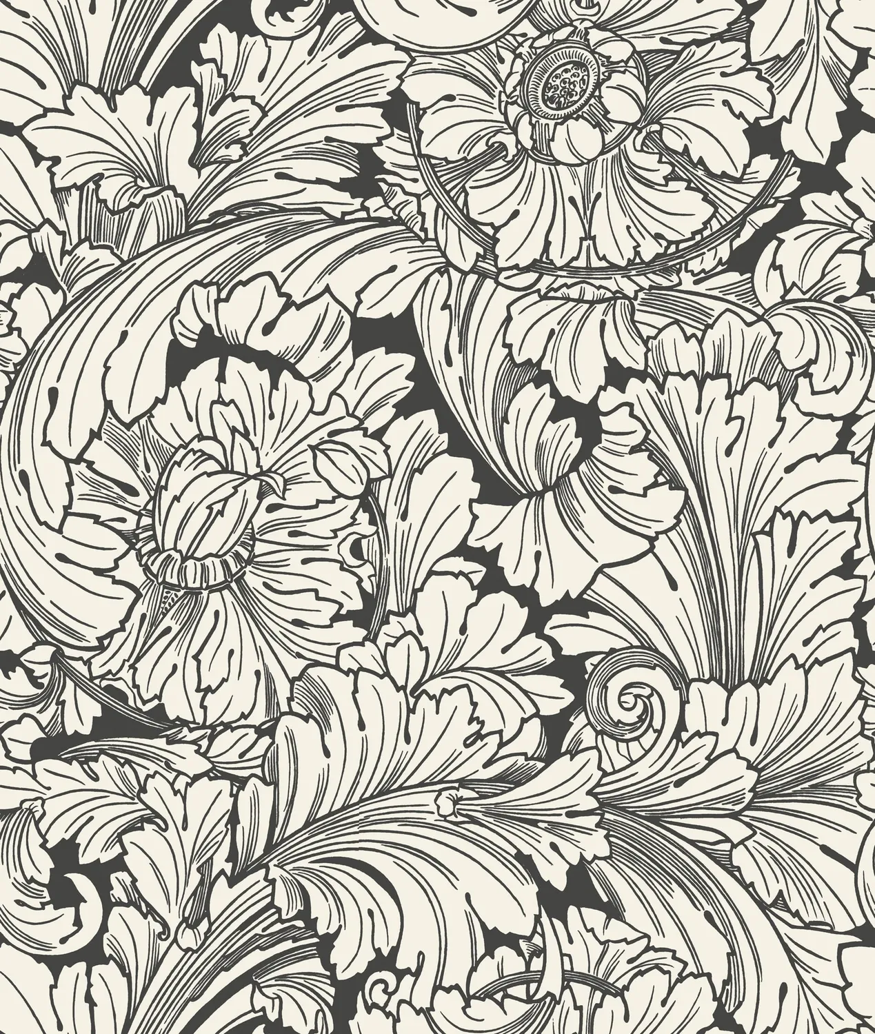 Cole & Son Acanthus Tapete floral