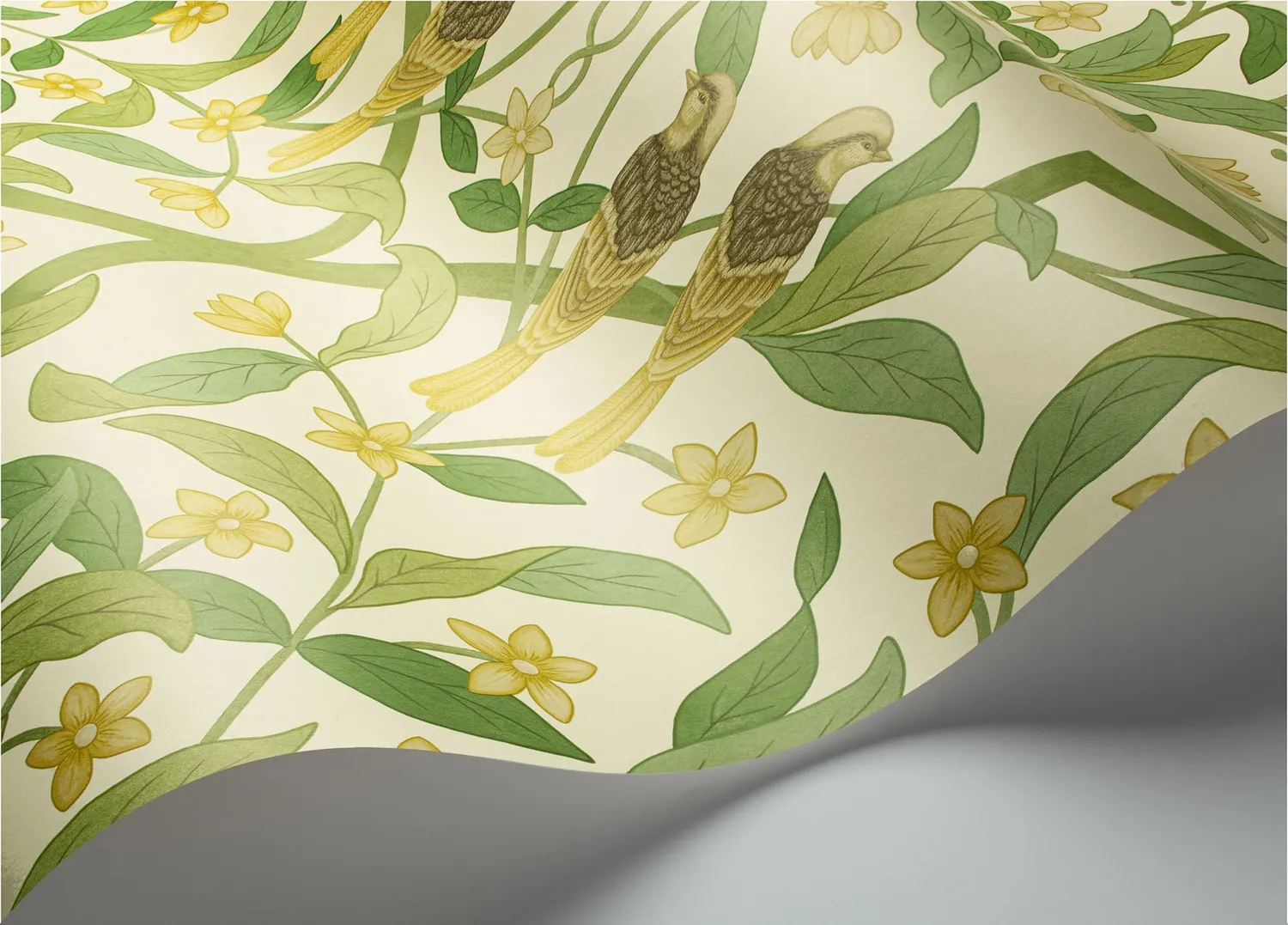 Cole & Son Jasmine & Serin Tapete Vögel