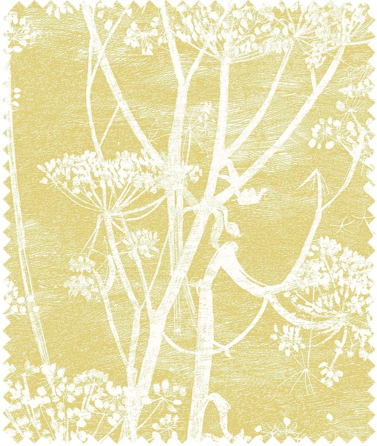 Cole&Son Cow Parsley Stoff