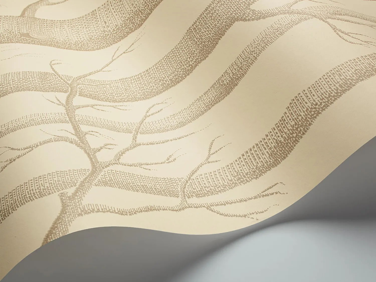 Cole & Son Woods Tapetenmuster Birken-Motiv