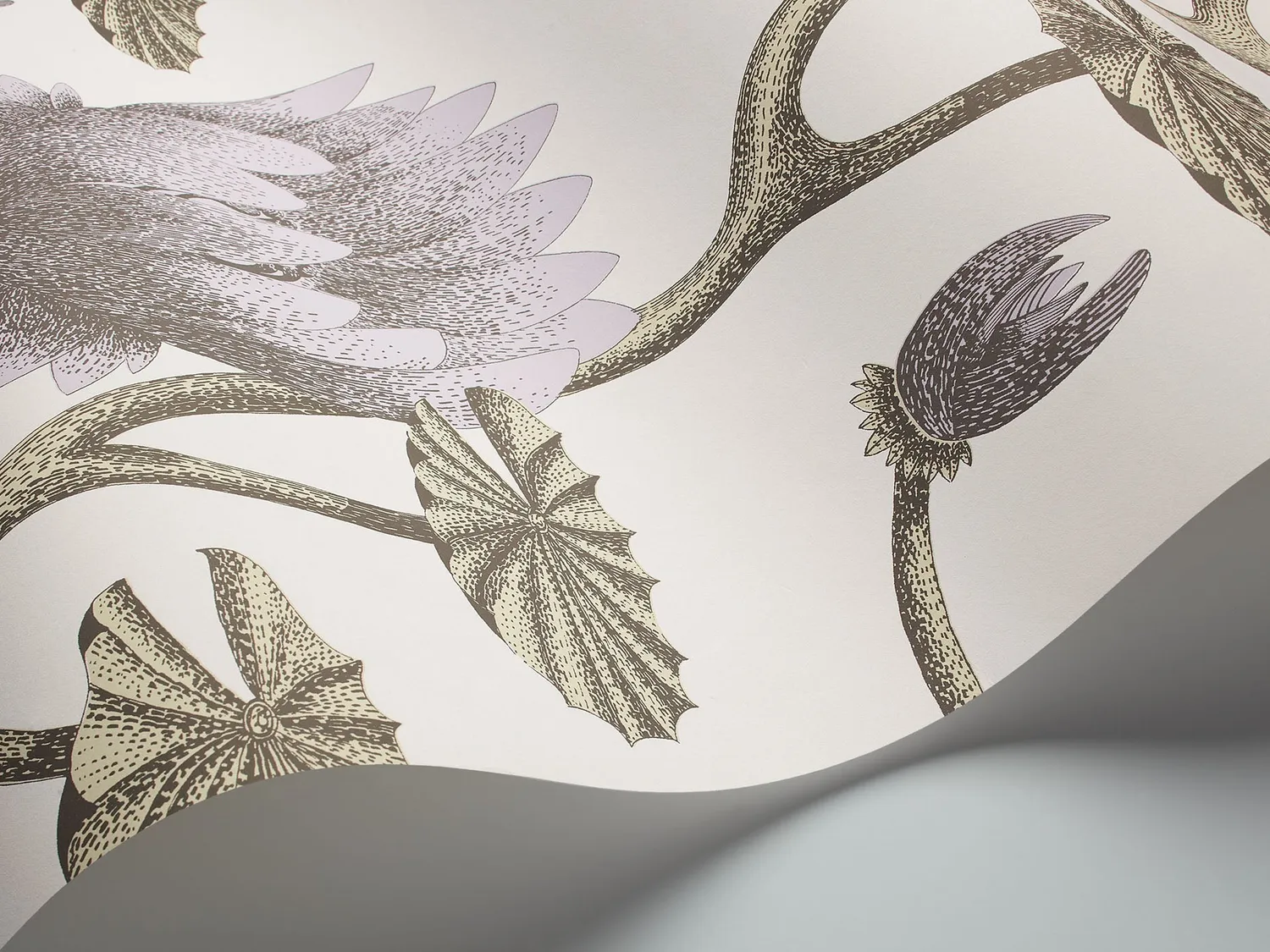 Cole&Son Summer Lily Tapetenmuster Lilie