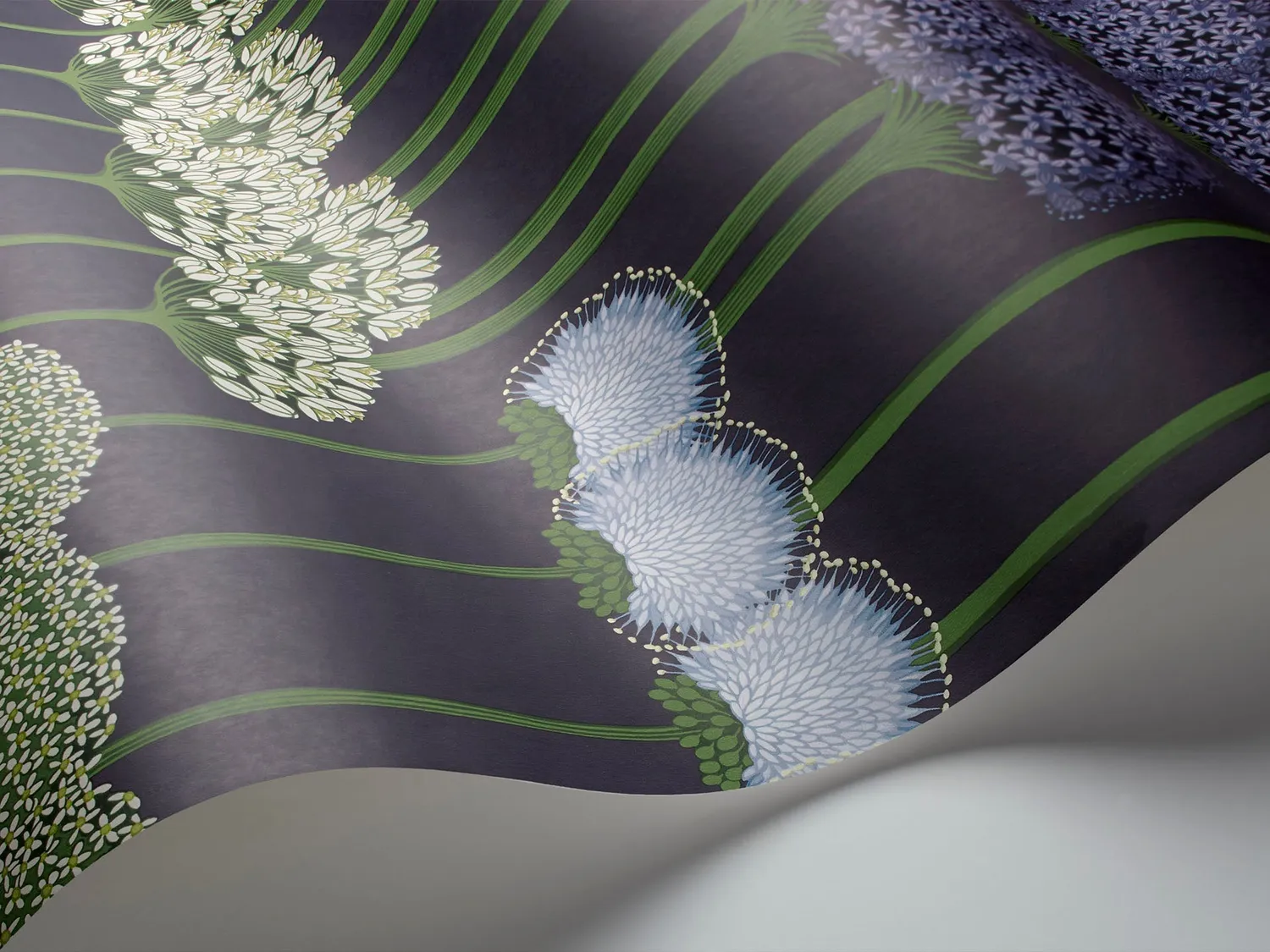 Cole & Son Allium Tapetenmuster Blumenranke