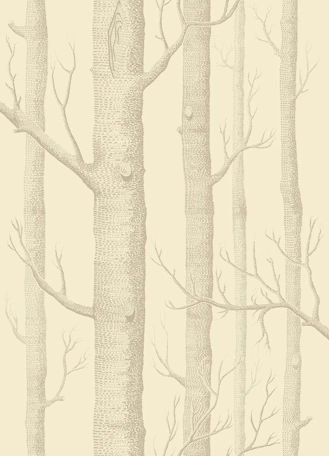 Cole & Son Woods Tapetenmuster Birken-Motiv