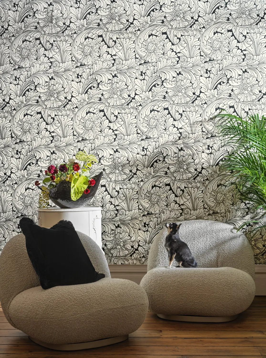 Cole & Son Acanthus Tapete floral