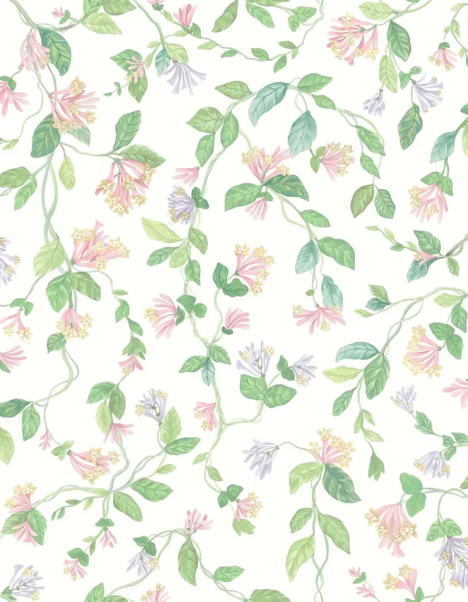 Cole & Son Flora Sample Tapetenmuster Ranke