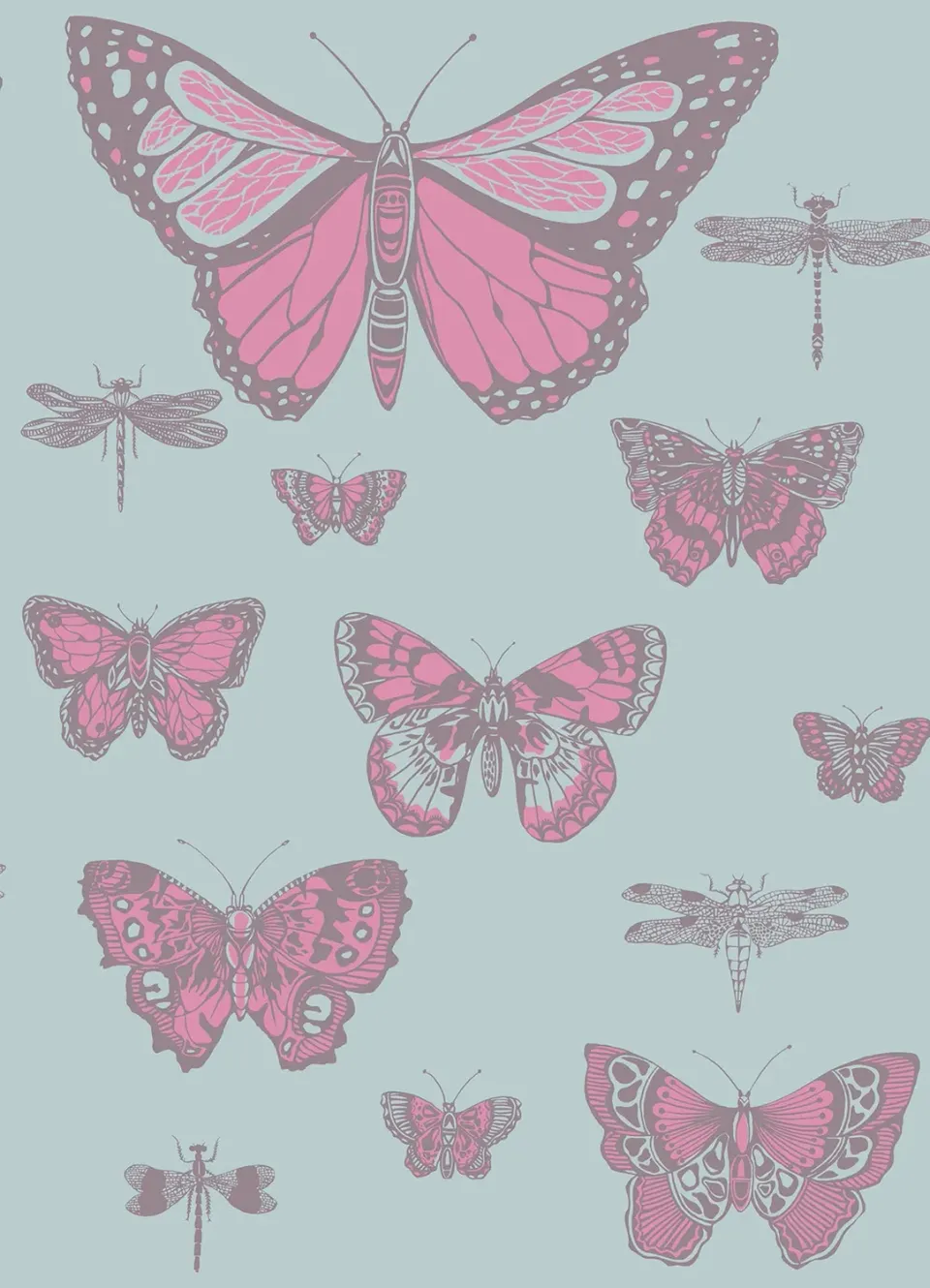 Cole&Son Butterflies Dragonflies Tapetenmuster Schmetterling