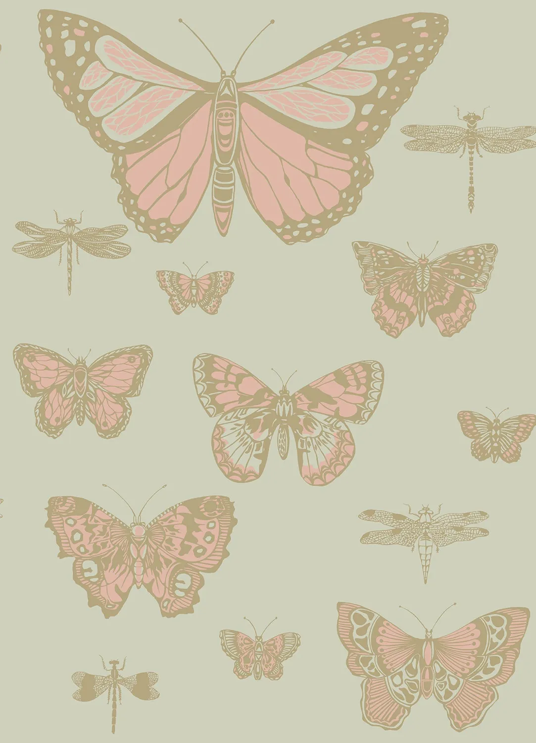 Cole&Son Butterflies Dragonflies Tapetenmuster Schmetterling