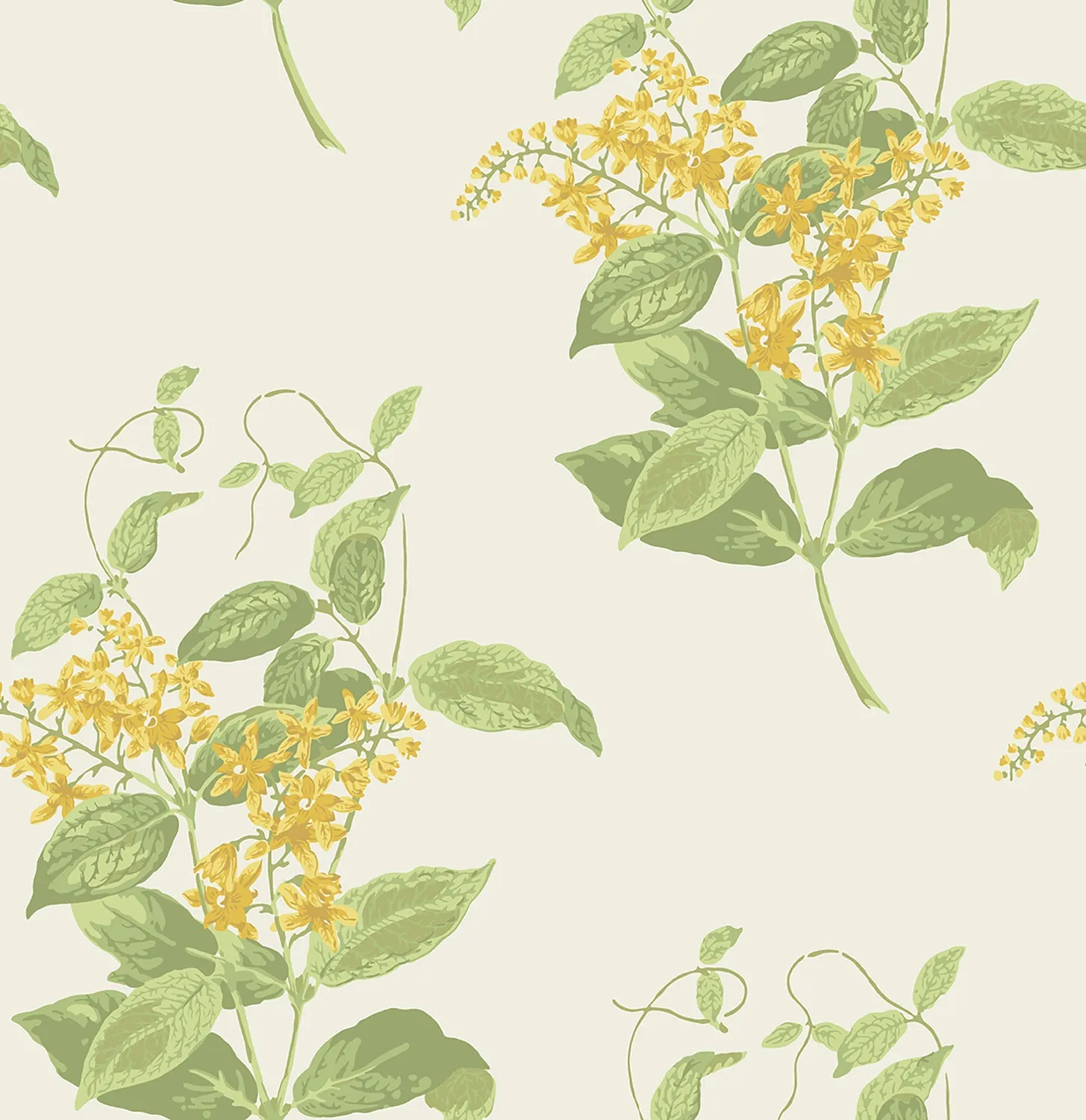 Cole & Son Madras Violet Tapetenmuster floral