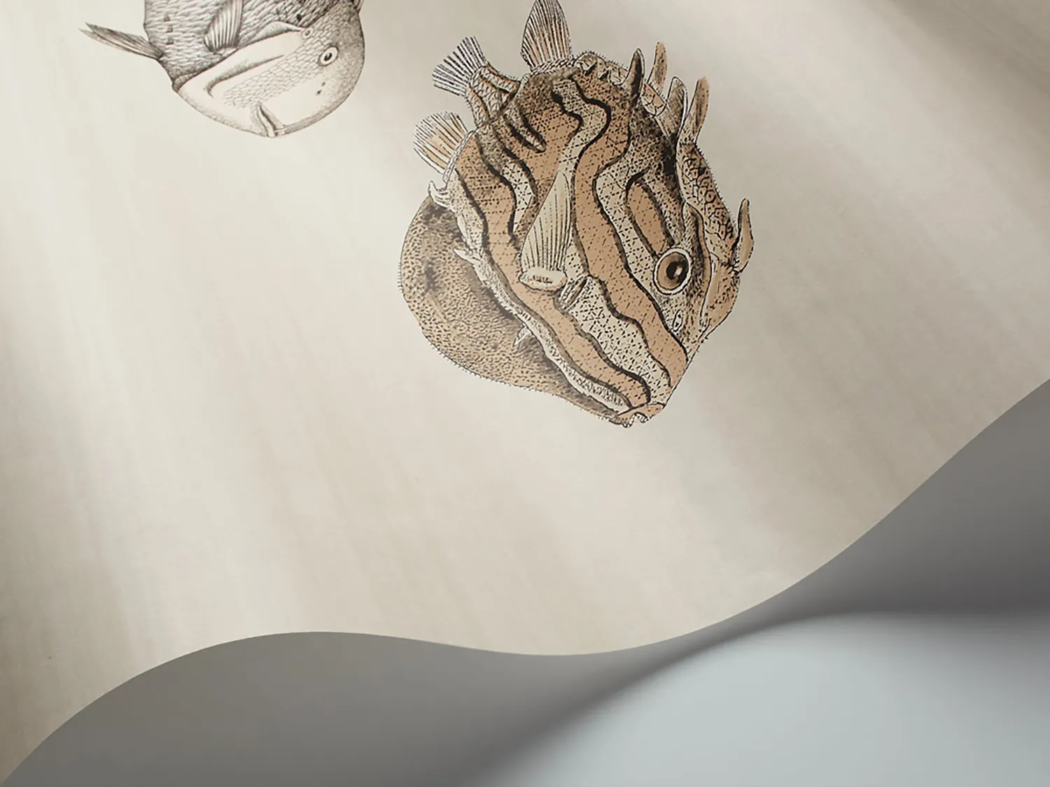 Cole&Son Acquario Tapete