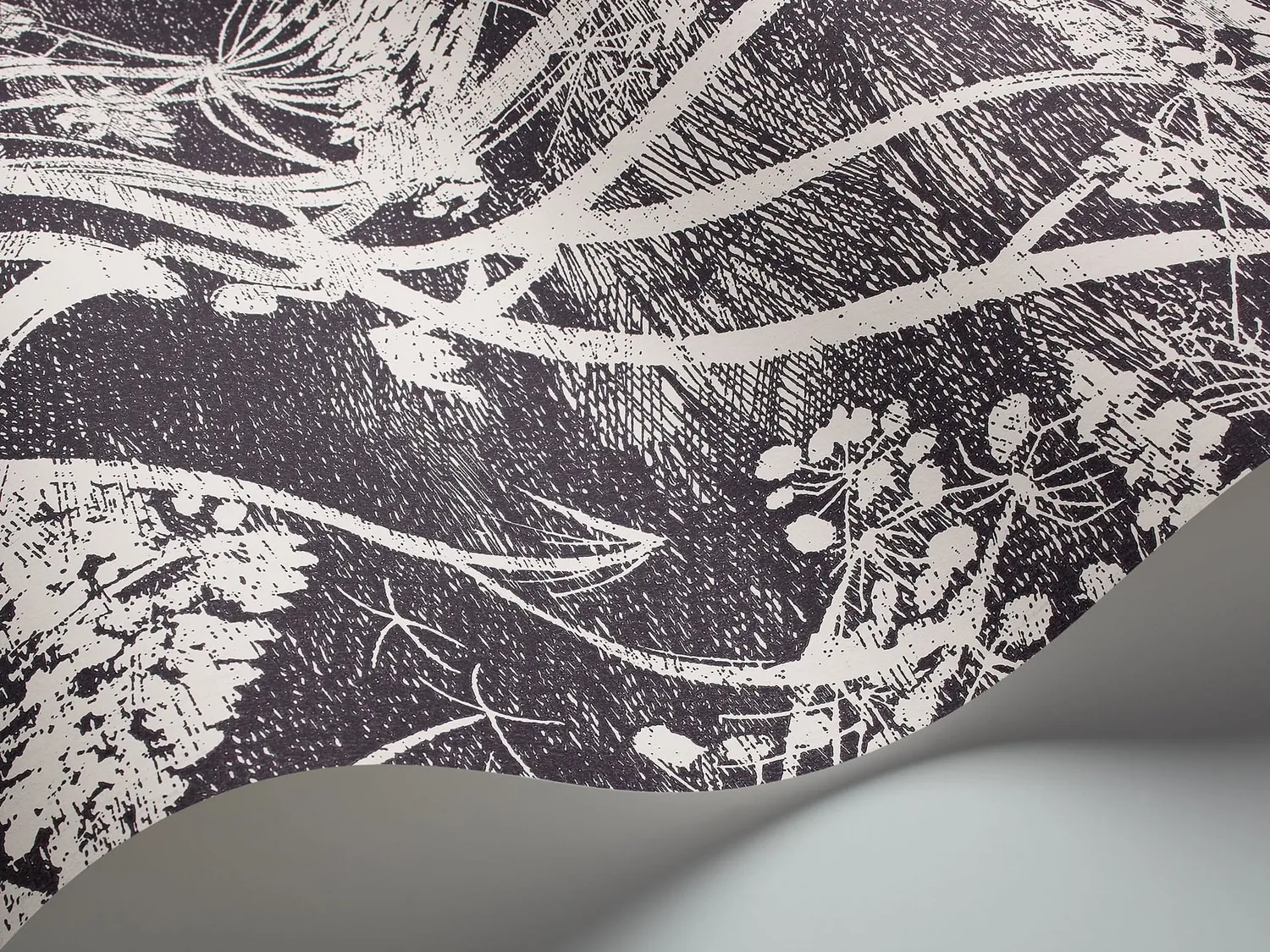 Cole&Son Cow Parsley Tapete