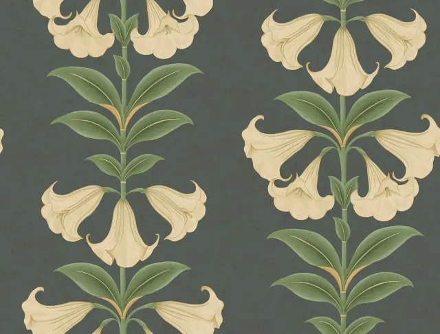 Cole & Son Angel's Trumpet Tapete floral Streifen