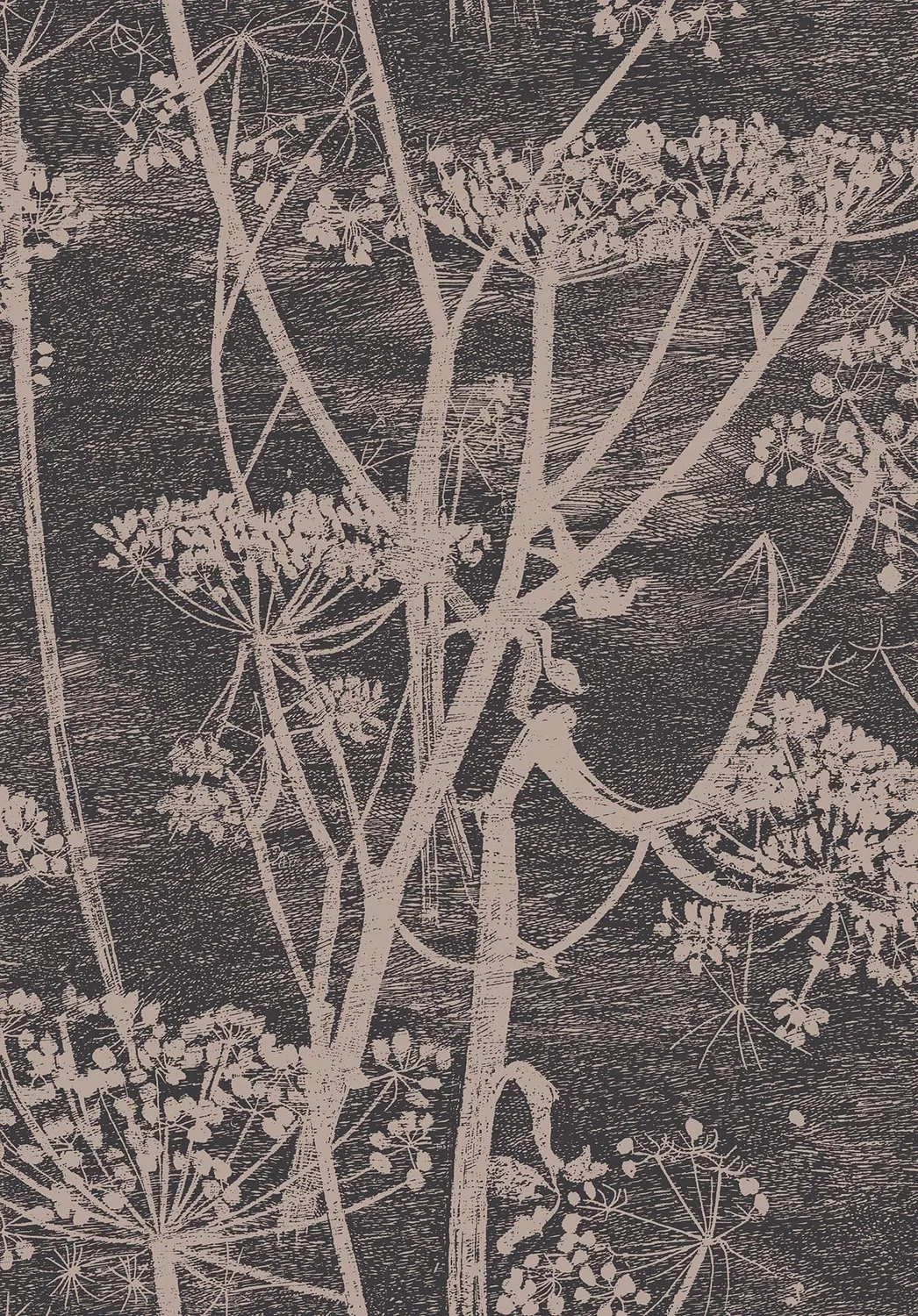 Cole&Son Cow Parsley Tapete