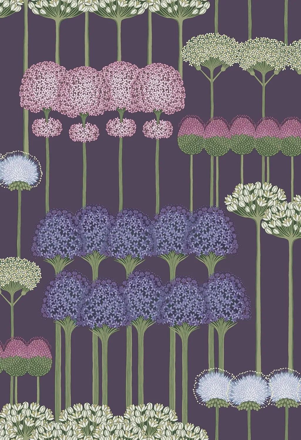 Cole & Son Allium Tapetenmuster Blumenranke