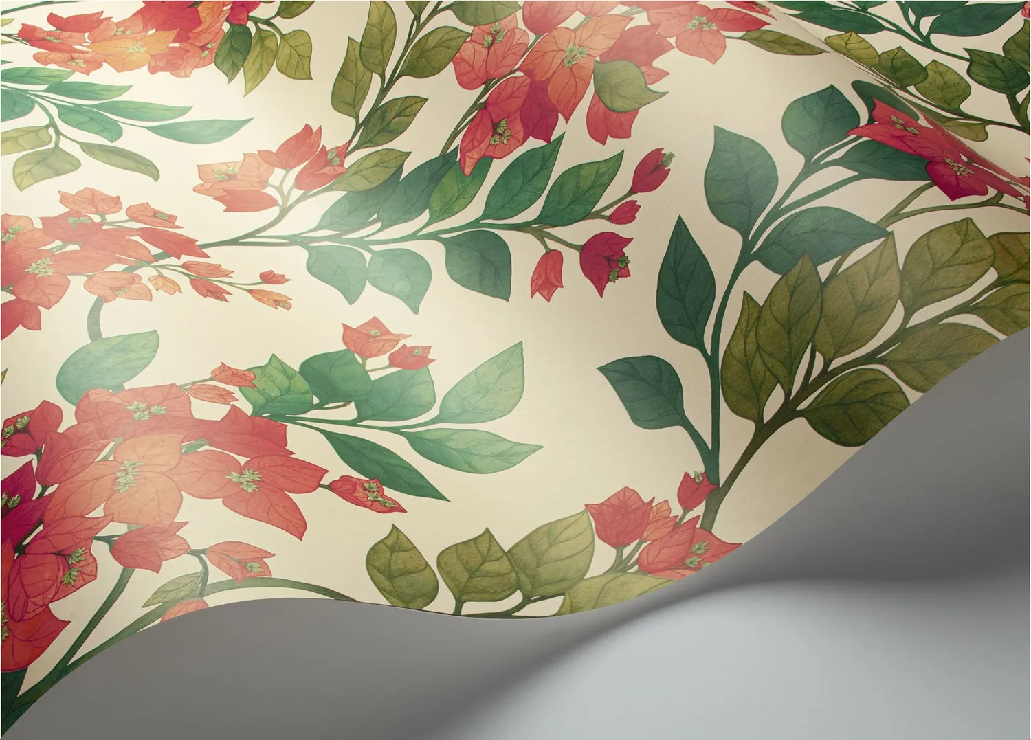 Cole & Son Bougainvillea Tapetenmuster Blüte