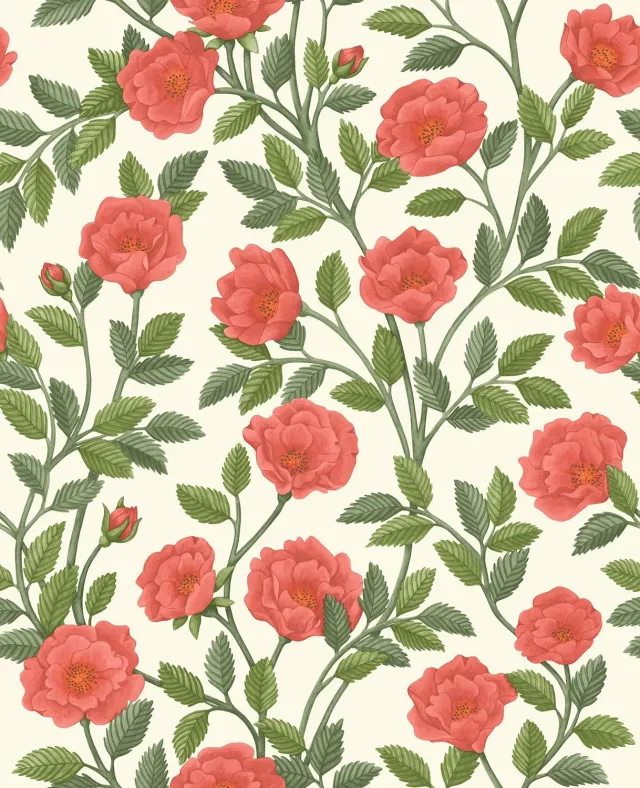 Cole&Son Hampton Roses Tapete