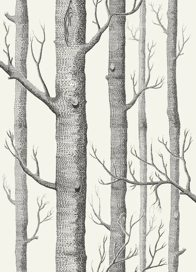 Cole&Son Woods Tapete Birkenwald