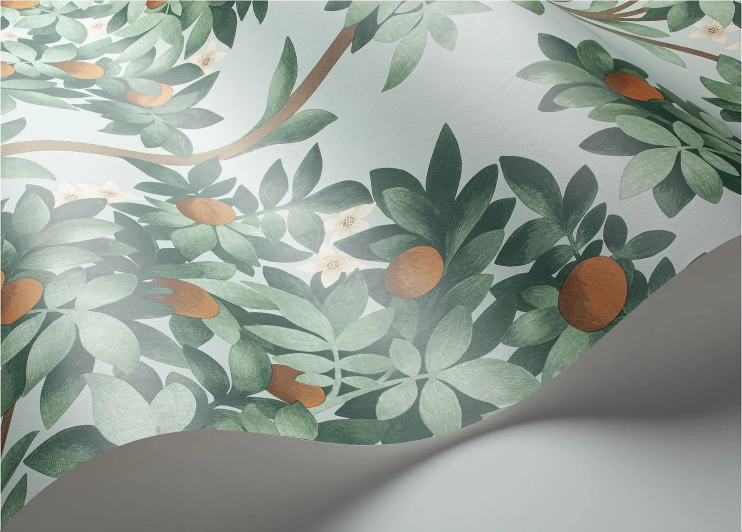 Cole&Son Orange Blossom Muster Tapete Orangenmotiv