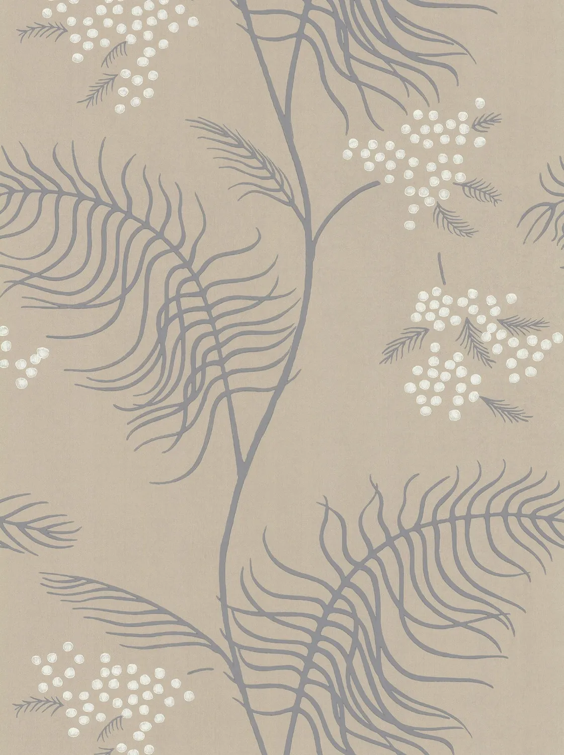 Cole & Son Mimosa Tapetenmuster floral