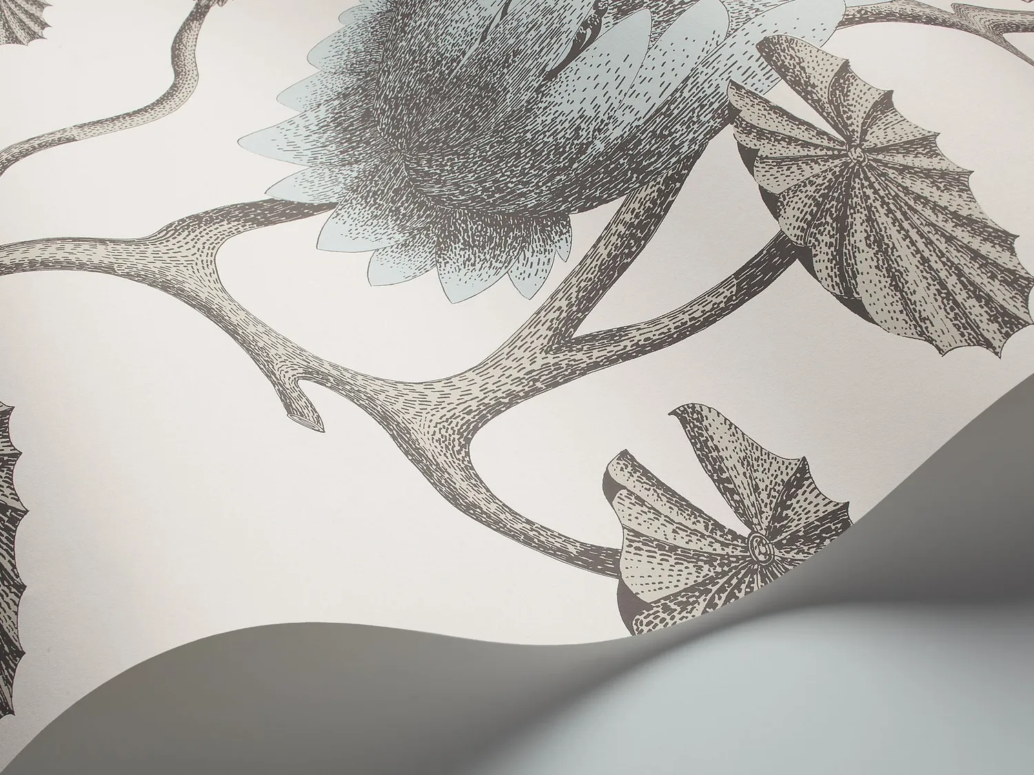 Cole&Son Summer Lily Tapetenmuster Lilie