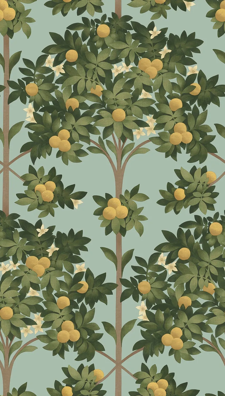 Cole&Son Orange Blossom Muster Tapete Orangenmotiv