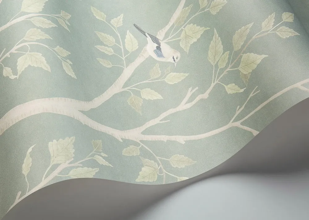 Cole & Son Seasonal Woods Sample Tapetenmuster Birkenwald