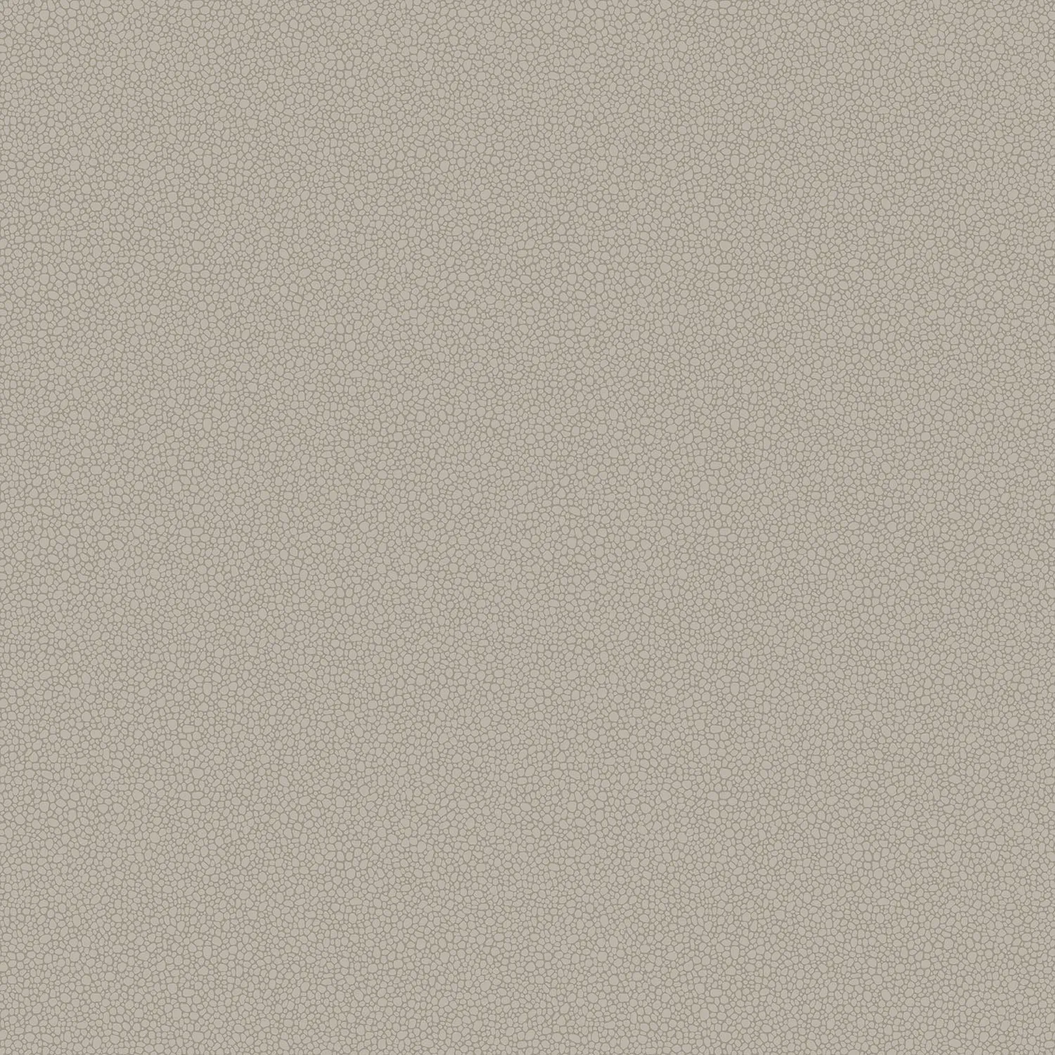 Cole&Son Pebble Sample Tapetenmuster