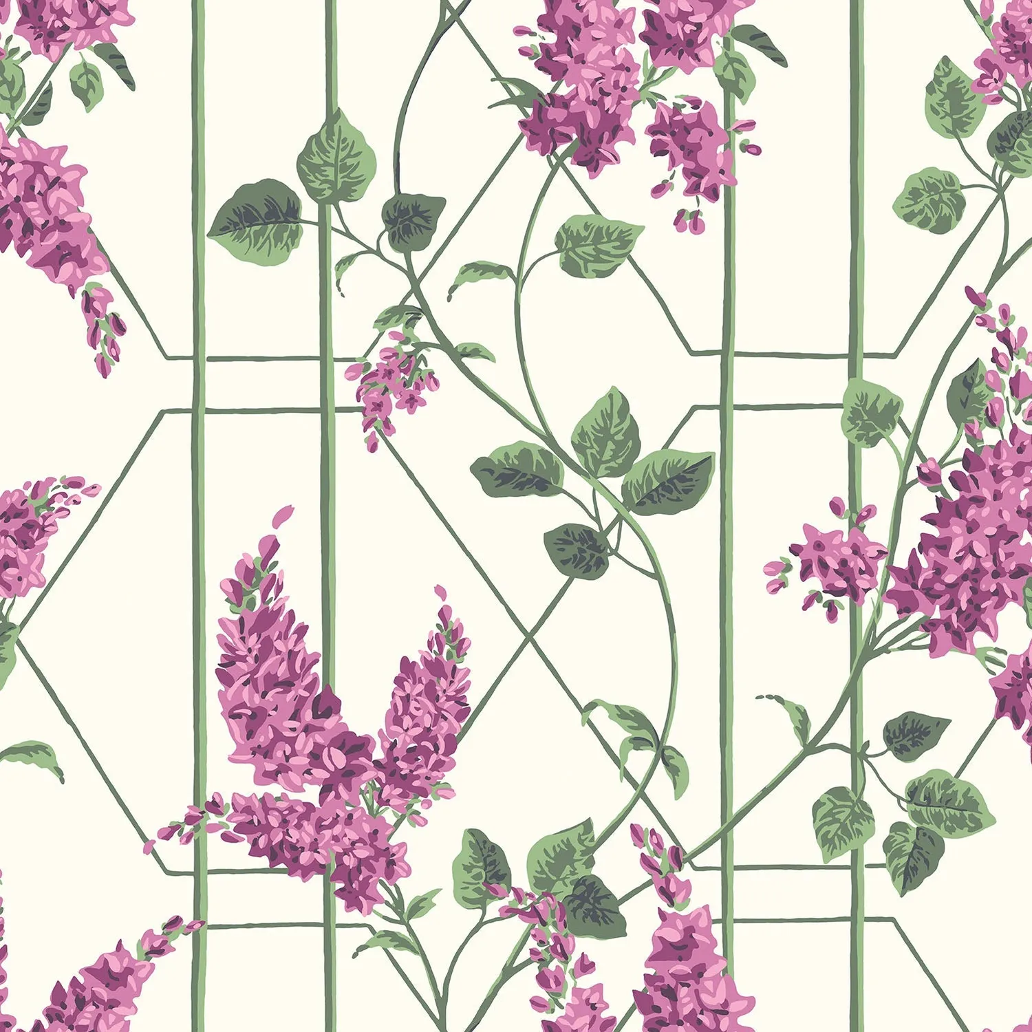 Cole & Son Wisteria Tapete Muster Ranken