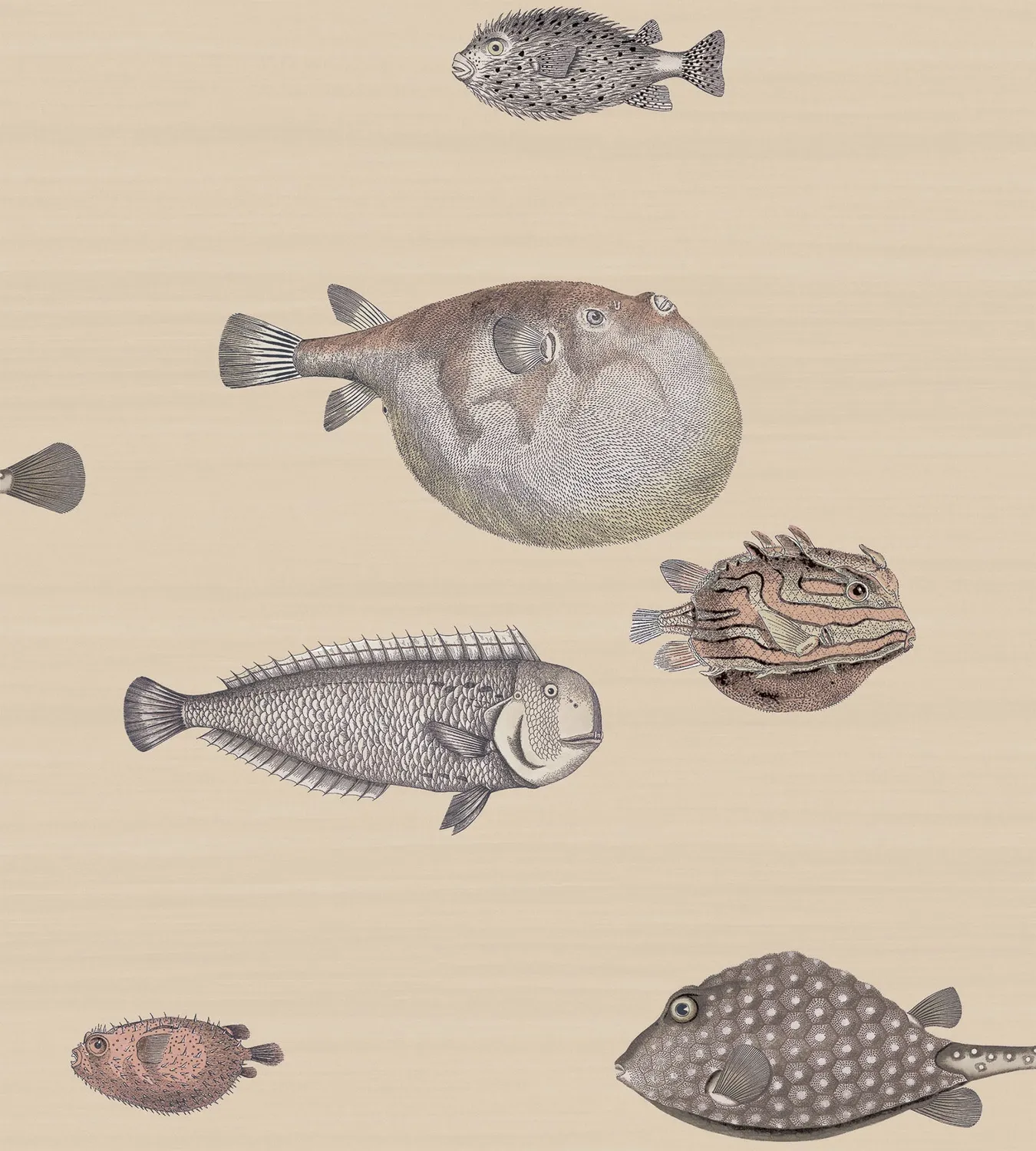 Cole&Son Acquario Tapete