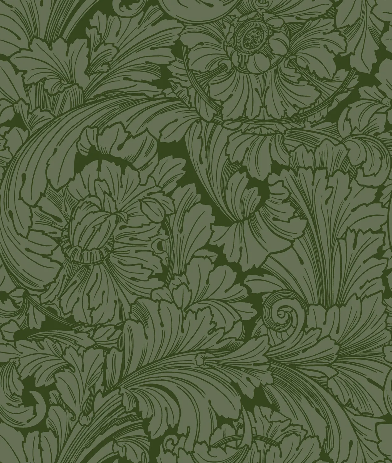 Cole & Son Acanthus Tapete floral