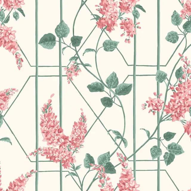 Cole&Son Wisteria Tapete