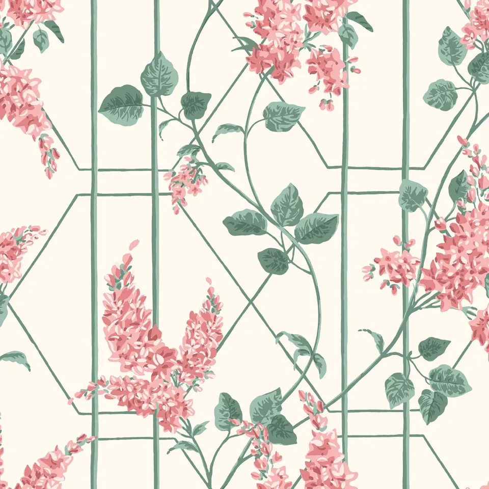 Cole & Son Wisteria Tapete Muster Ranken