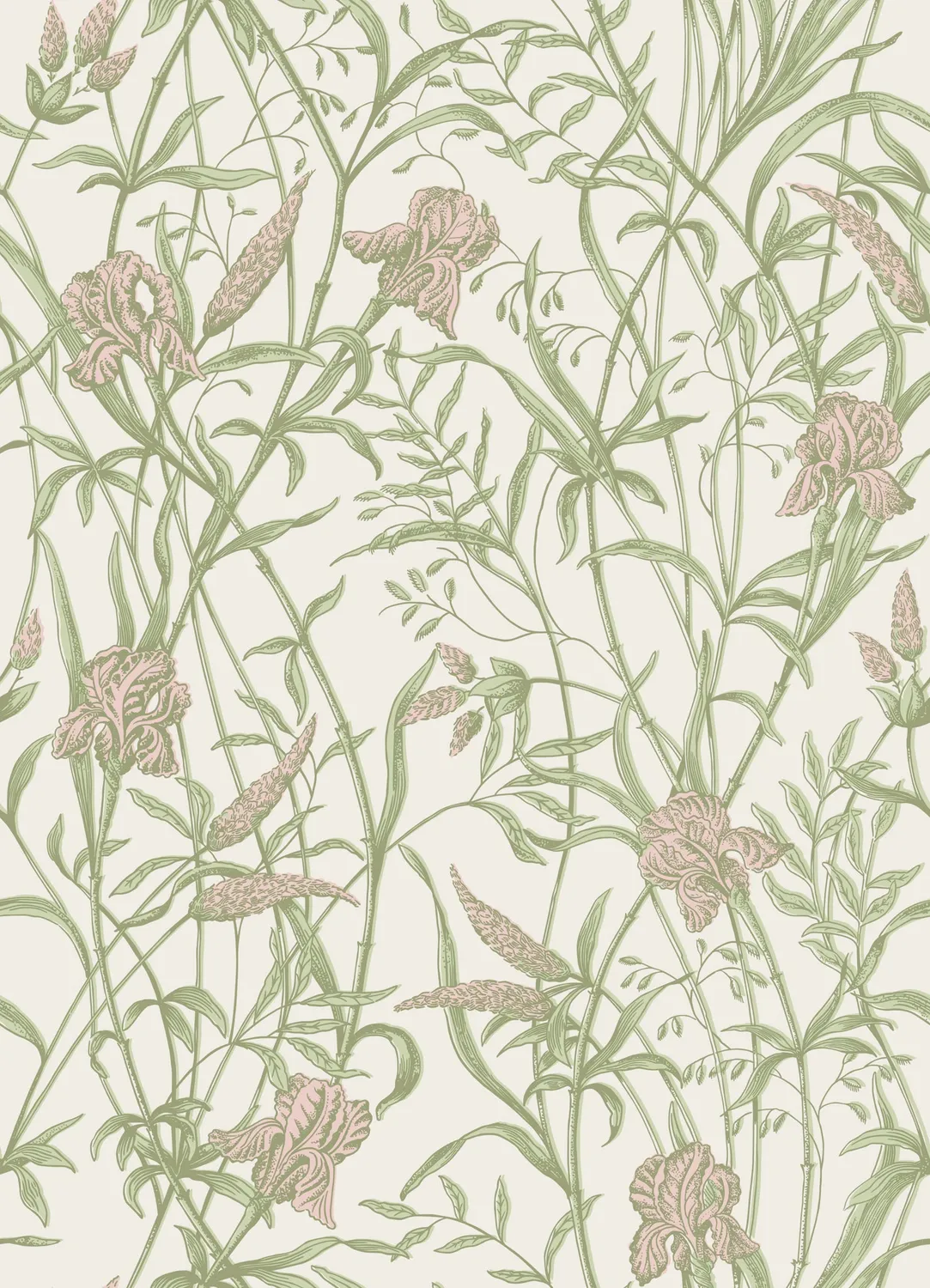 Cole&Son Iris Blumentapete florales Rankenmuster